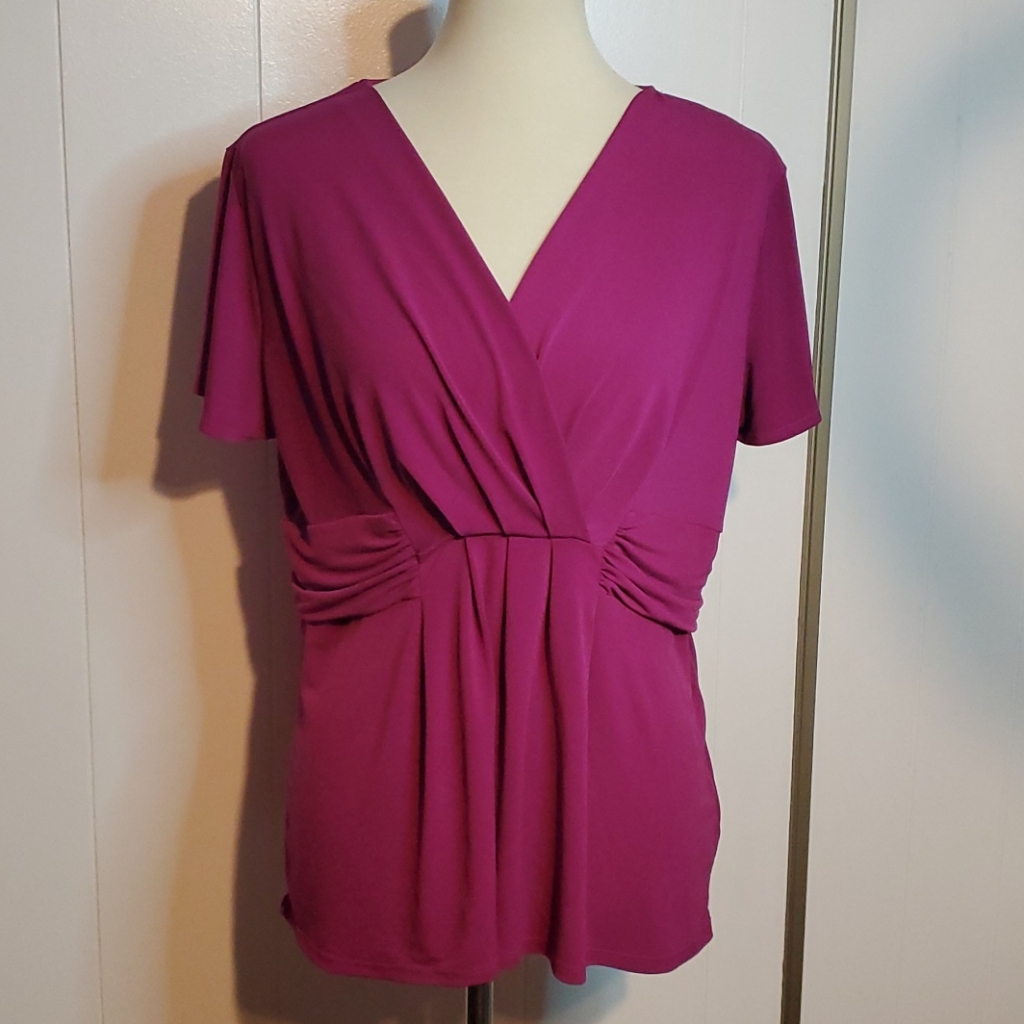 Euc Raspberry Top